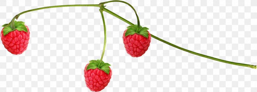 Musk Strawberry Raspberry Food, PNG, 1796x648px, Strawberry, Amorodo, Auglis, Berry, Diet Food Download Free