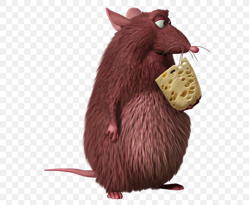 Skinner Rodent Rat Computer Mouse Clip Art, PNG, 580x676px, Skinner, Animal, Animation, Computer Mouse, Cook Download Free