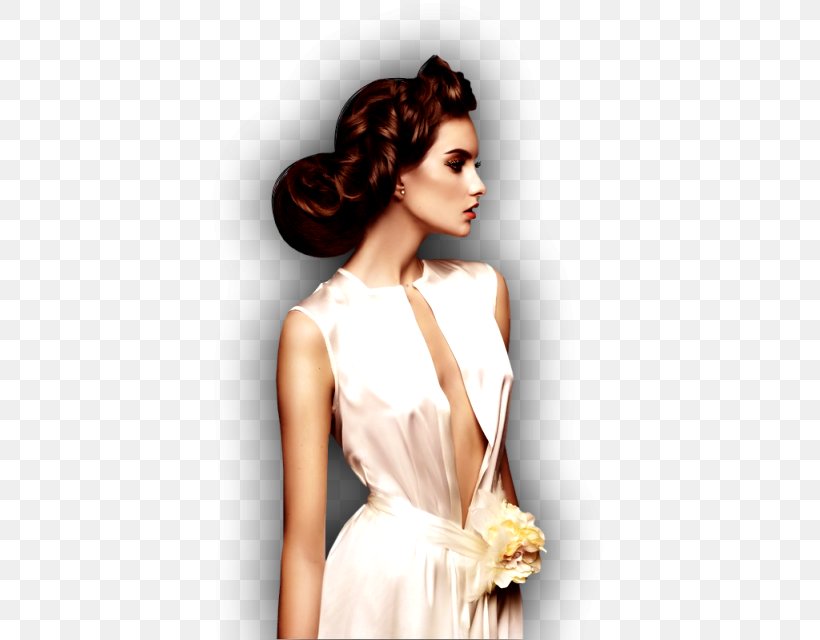Updo Long Hair Model Fashion Designer, PNG, 480x640px, Watercolor, Cartoon, Flower, Frame, Heart Download Free