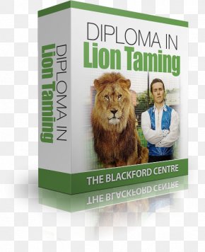 Lion Tamer - Brand Advertising PNG