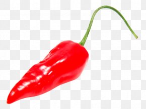 Black Pepper - Chili Con Carne Bell Pepper Chili Pepper Serrano Pepper PNG