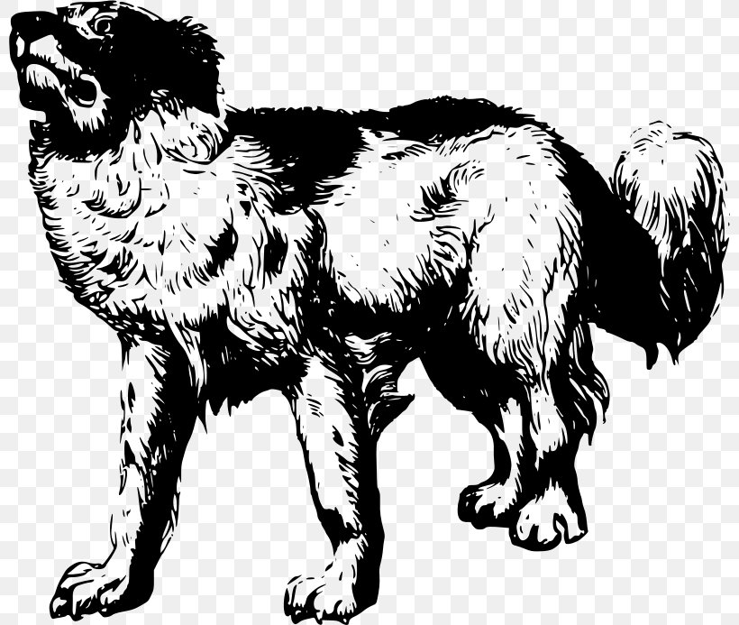 Dog Breed Pet Puppy Clip Art, PNG, 800x693px, Dog Breed, Animal, Black And White, Carnivoran, Cat Download Free