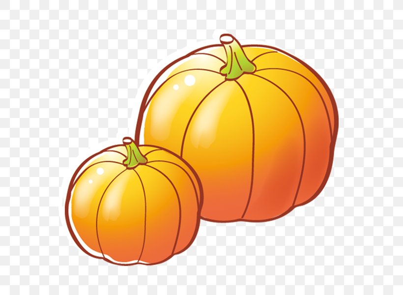 Jack-o-lantern Calabaza Pumpkin Cucurbita Pepo, PNG, 600x600px, Jackolantern, Calabaza, Citrus, Commodity, Cucumber Gourd And Melon Family Download Free