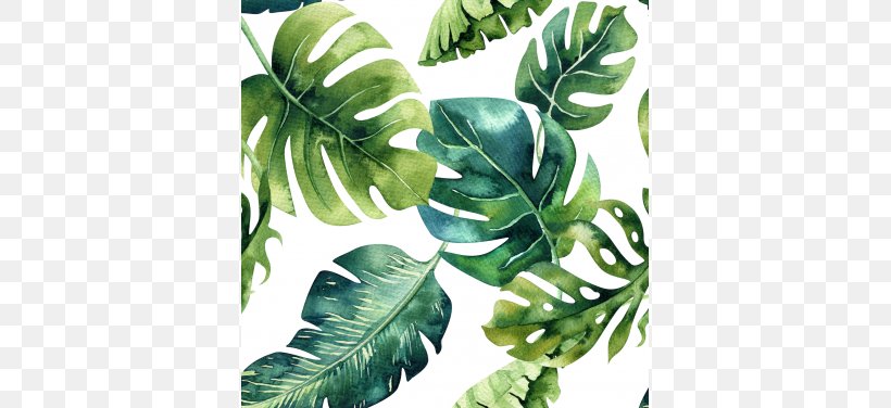 Paper Tropics Drawing Painting, PNG, 570x376px, Paper, Arecaceae, Art, Banana Leaf, Drawing Download Free