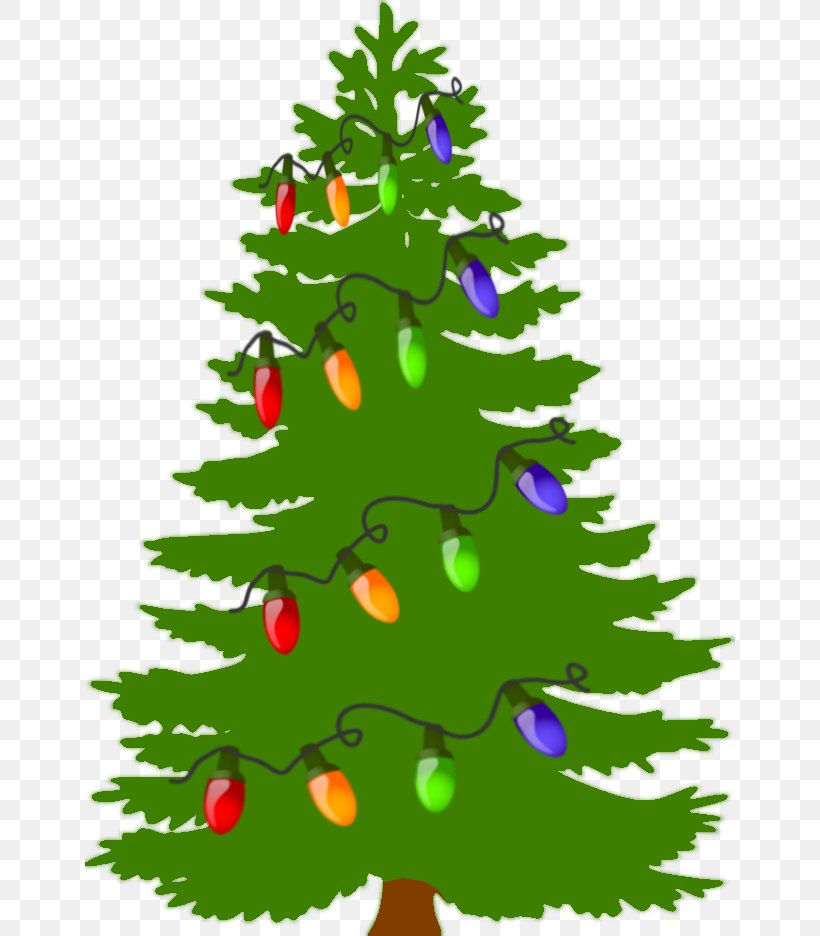 Pine Tree Fir Evergreen, PNG, 650x936px, Pine, Black Pine, Branch, Christmas, Christmas Decoration Download Free