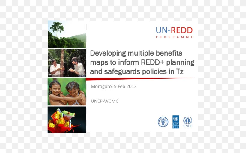 Reducing Emissions From Deforestation And Forest Degradation United Nations REDD Programme, PNG, 512x512px, United Nations Redd Programme, Advertising, Brand, Climate Change, Conservation Download Free