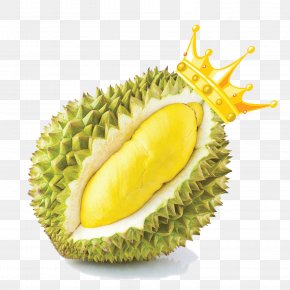 Durian - Durio Zibethinus Thai Cuisine Fruit Food Snack PNG