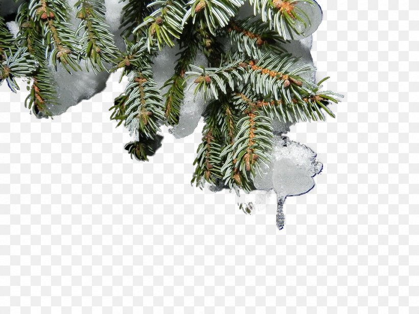 Snow Christmas Tree Christmas Tree, PNG, 960x720px, Snow, Branch, Christmas, Christmas Decoration, Christmas Ornament Download Free