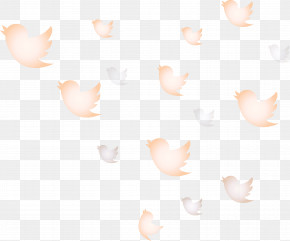 Twitter Flying Birds Birds PNG