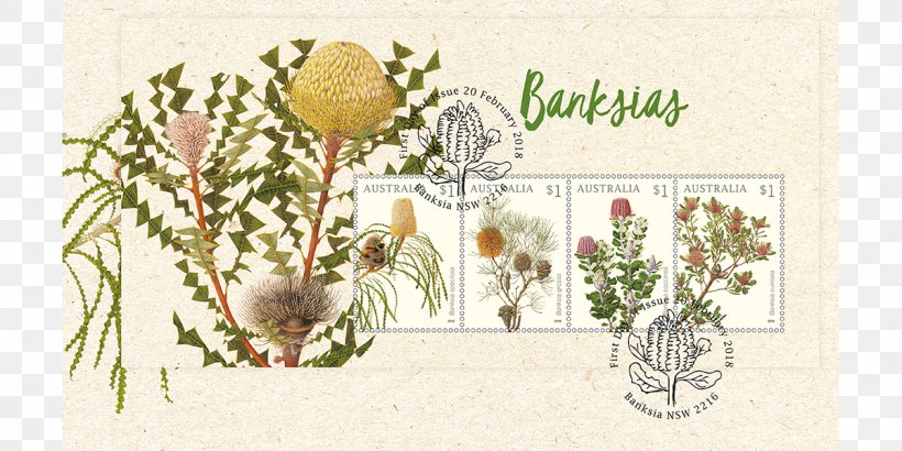 Floral Design Australia Postage Stamps Banksia Philately, PNG, 1200x600px, Floral Design, Art, Australia, Australia Post, Banksia Download Free
