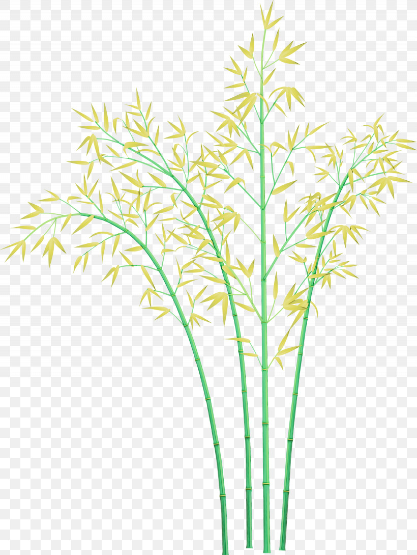 Grass Plant Plant Stem Grass Family Leaf, PNG, 2255x3000px, Bamboo, Aquarium Decor, Flower, Grass, Grass Family Download Free