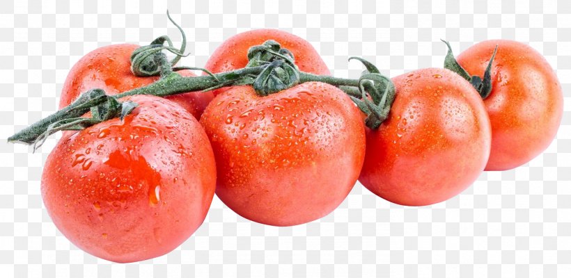 Plum Tomato Aubrac Vegetarian Cuisine, PNG, 1482x723px, Laguiole, Bush Tomato, Diet Food, Food, Fruit Download Free