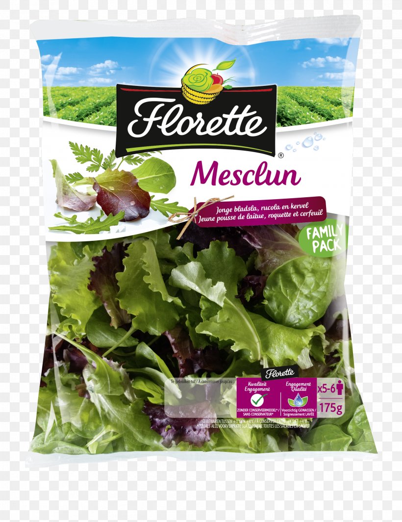 Romaine Lettuce Mesclun Corn Salad, PNG, 1911x2480px, Romaine Lettuce, Arugula, Chard, Common Beet, Corn Salad Download Free