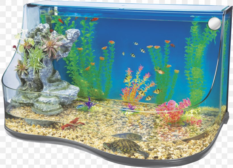 Aquarium Filters Nano Aquarium Reef Aquarium Aquascaping, PNG, 2069x1496px, Aquarium Filters, Akwaterrarium, Algae Scrubber, Aquarium, Aquarium Decor Download Free