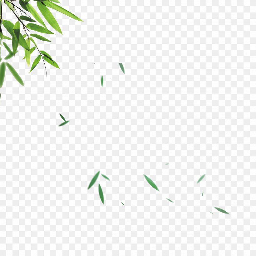 Bamboo Leaf Skin, PNG, 2500x2500px, Bamboo, Area, Comedo, Face, Facial Care Download Free