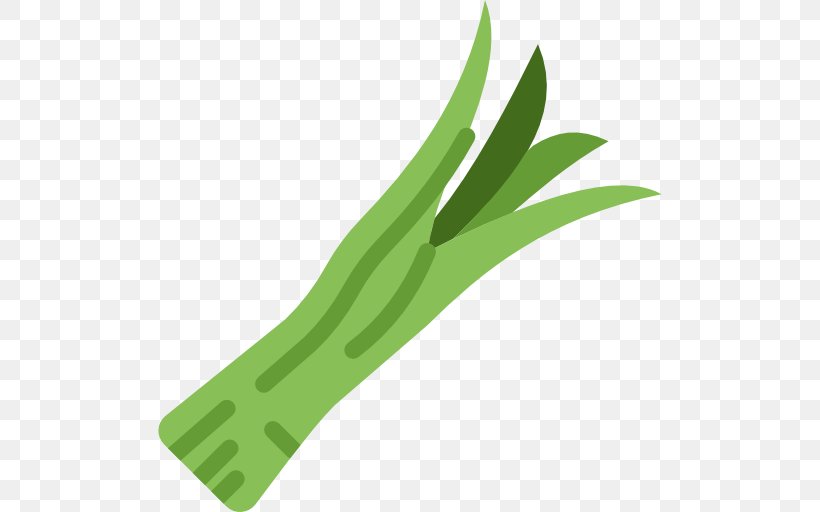 Icon, PNG, 512x512px, Green, Grass, Grass Family, Leaf, Onion Download Free