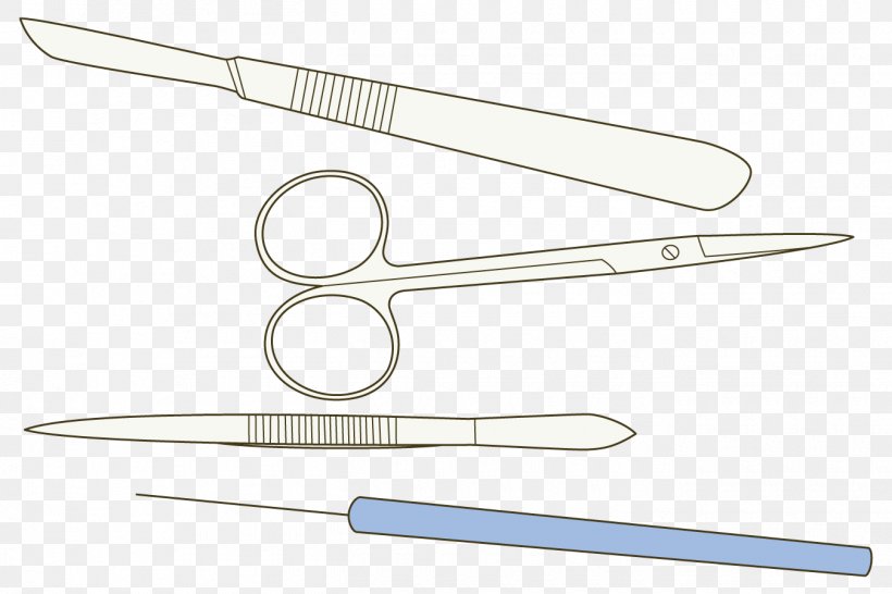 Intervenție Chirurgicală Physician Nurse Tool, PNG, 1350x900px, Physician, Health Care, Hospital, Marriage, Nurse Download Free