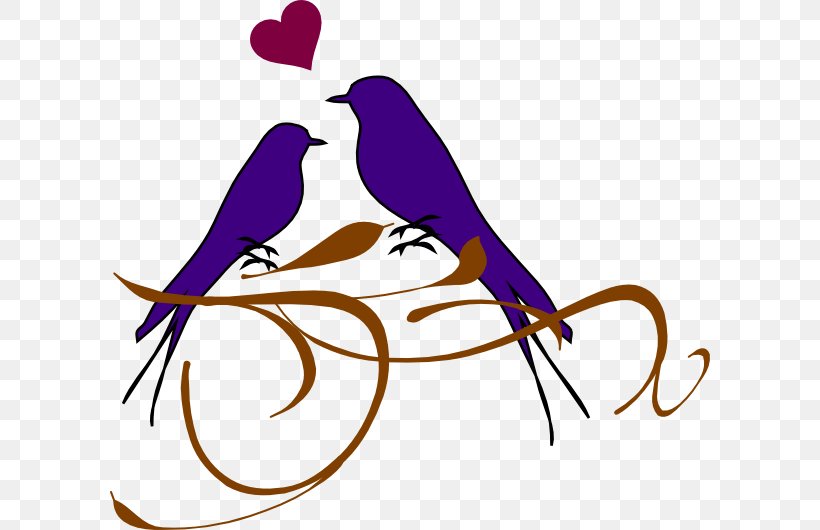 Lovebird Clip Art, PNG, 600x530px, Lovebird, Art, Beak, Bird, Blog Download Free