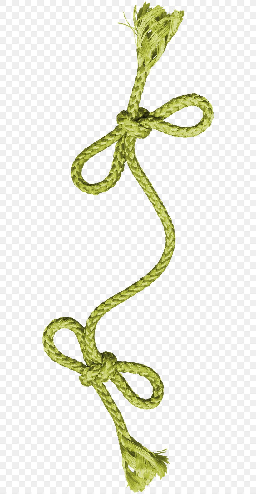 Rope Icon, PNG, 556x1581px, Rope, Branch, Color, Flora, Grass Download Free
