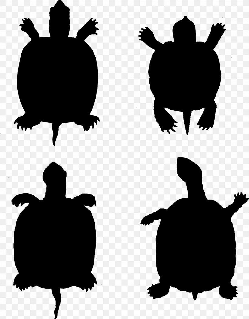 Sea Turtle Background, PNG, 2281x2923px, Silhouette, Animal, Black, Pond Turtle, Reptile Download Free