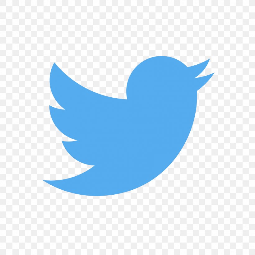 Social Media Logo Business Marketing, PNG, 1687x1687px, Social Media, Advertising, Beak, Bird, Blog Download Free