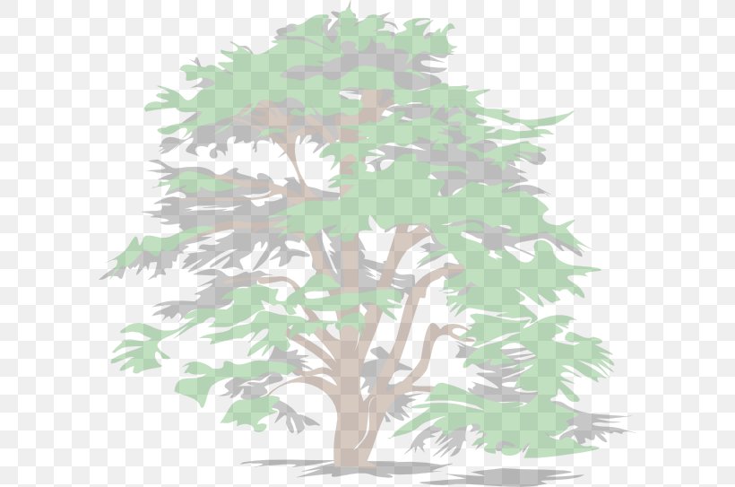 Tree Evergreen Clip Art, PNG, 600x543px, Tree, Arborist, Arecaceae, Branch, Drawing Download Free
