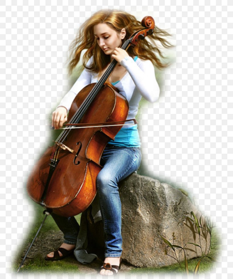 Violone Violin Cello Double Bass Viola, PNG, 776x980px, Watercolor, Cartoon, Flower, Frame, Heart Download Free