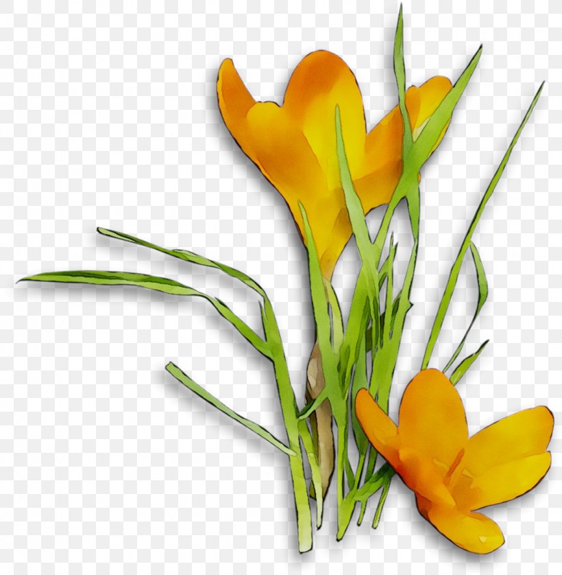 Crocus Floral Design Cut Flowers Plant Stem, PNG, 1125x1150px, Crocus, Artificial Flower, Botany, Cut Flowers, Floral Design Download Free