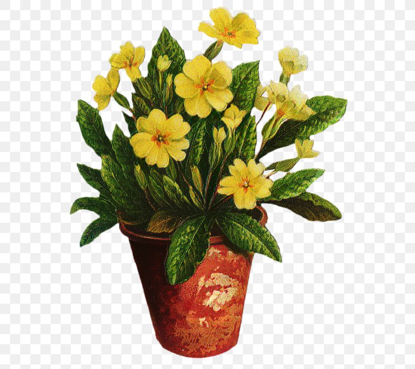 Cut Flowers Floral Design Primrose Friendship, PNG, 572x729px, Flower, Anthurium, Artificial Flower, Beauty, Bouquet Download Free