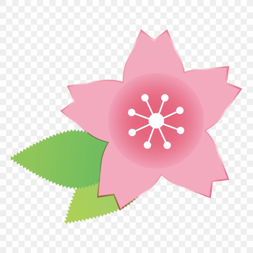 Green Leaf And Pink Flower., PNG, 1181x1181px, Pink, Book Illustration, Cherry Blossom, Color, Flower Download Free