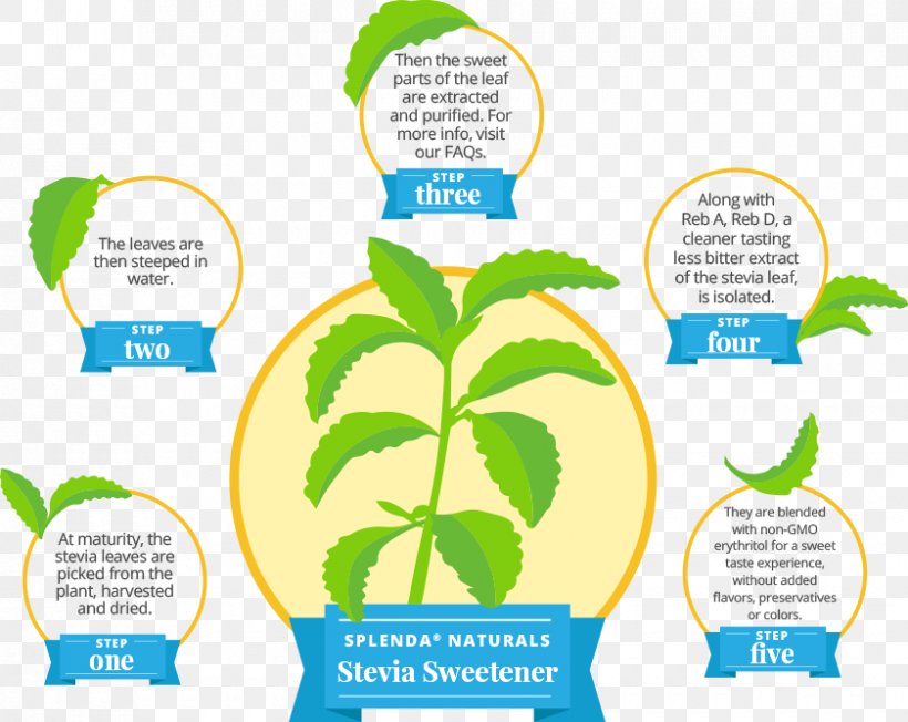 Stevia Cranberry Juice Sucralose Sugar Substitute Splenda, PNG, 840x668px, Stevia, Area, Aspartame, Brand, Communication Download Free