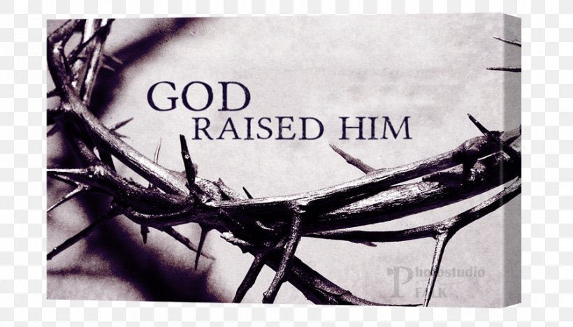 Crown Of Thorns Thank You Jesus Easter Holy Monday Holy Week, PNG, 900x514px, Crown Of Thorns, Awesome God, Black And White, Branch, Brand Download Free