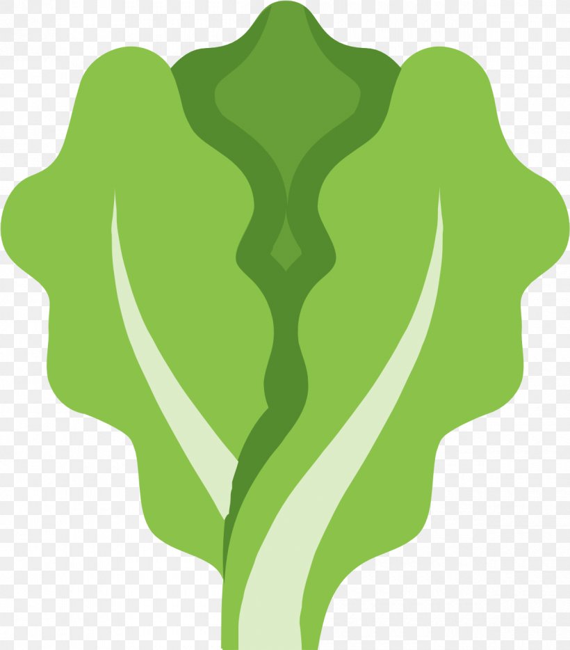 Green Leaf Logo, PNG, 1200x1368px, Lettuce, Cabbage, Food, Green, Leaf Download Free