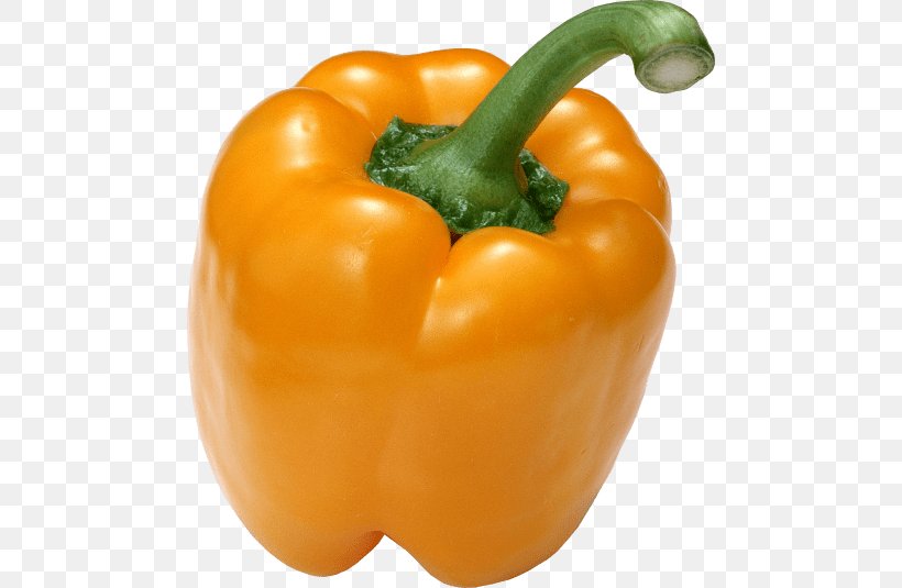 Clip Art Chili Pepper Yellow Pepper Paprika, PNG, 480x535px, Chili Pepper, Bell Pepper, Bell Peppers And Chili Peppers, Calabaza, Capsicum Download Free