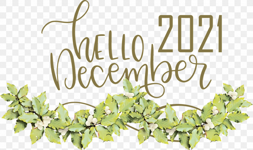 Christmas Day, PNG, 3000x1777px, Hello December, Bauble, Branch, Christmas Day, December Download Free