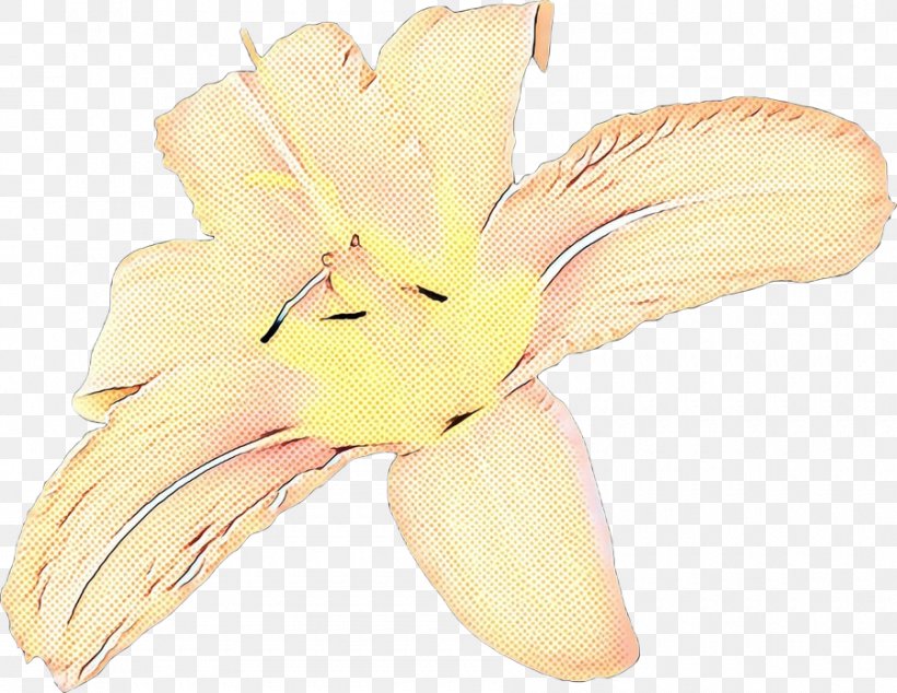 Flower Vintage, PNG, 900x696px, Pop Art, Daylily, Feather, Flower, Iris Download Free