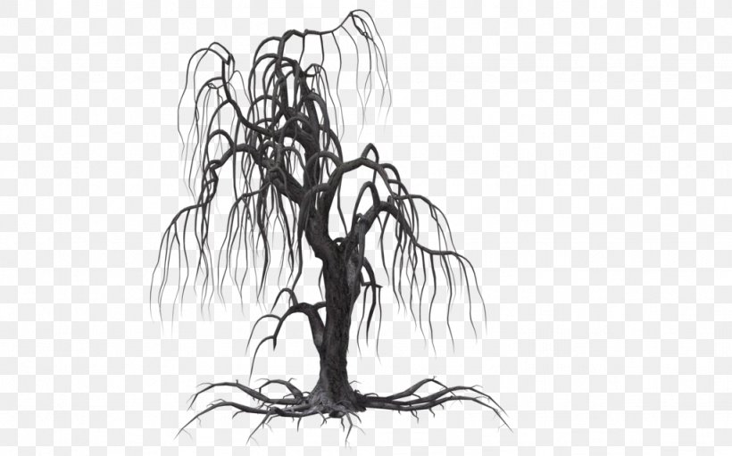 Tree Weeping Willow Drawing Clip Art, PNG, 1024x639px, Tree, Artwork, Black And White, Branch, Brush Download Free