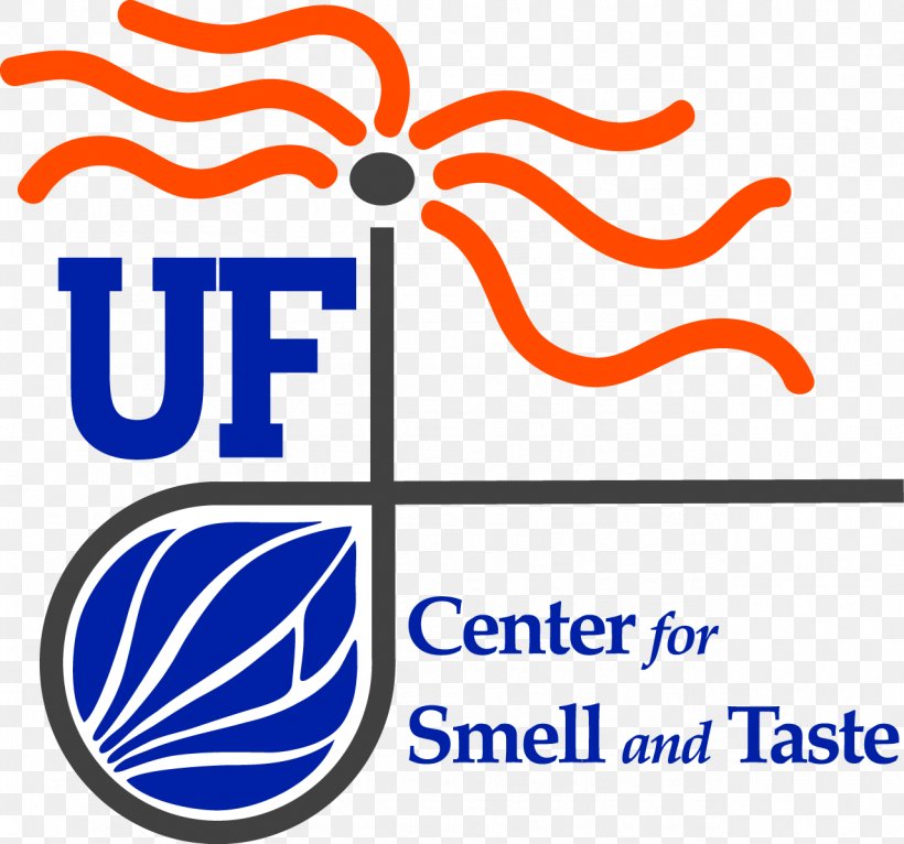University Of Florida Taste Olfaction Odor Sense, PNG, 1279x1195px, University Of Florida, Anosmia, Area, Brand, Education Download Free