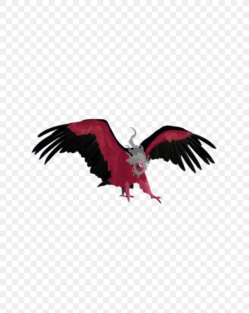 Eagle Vulture Bird, PNG, 774x1032px, Eagle, Animation, Bald Eagle, Beak, Bird Download Free