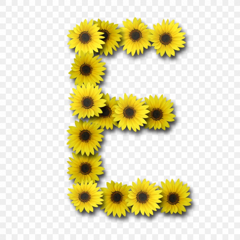 Letter Case Alphabet, PNG, 1200x1200px, Letter, Alphabet, Chrysanths, Common Sunflower, Daisy Family Download Free