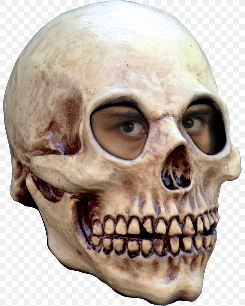 Mask Halloween Costume Human Skeleton Skull, PNG, 799x1024px, Mask, Adult, Bone, Carnival, Clothing Download Free