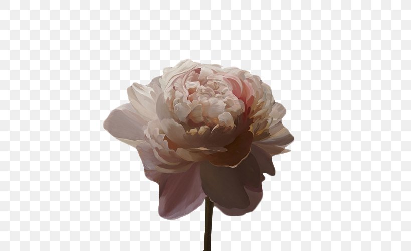 Aesthetics Art Drawing, PNG, 500x500px, Aesthetics, Art, Artificial Flower, Copying, Cut Flowers Download Free