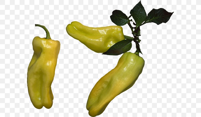 Serrano Pepper Pasilla Yellow Pepper Friggitello Bell Pepper, PNG, 600x477px, Serrano Pepper, Banana, Banana Pepper, Bell Pepper, Bell Peppers And Chili Peppers Download Free