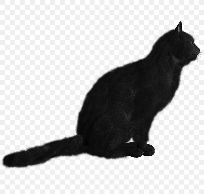 Black Cat Kitten Clip Art, PNG, 1600x1520px, Cat, Black, Black And White, Black Cat, Bombay Download Free