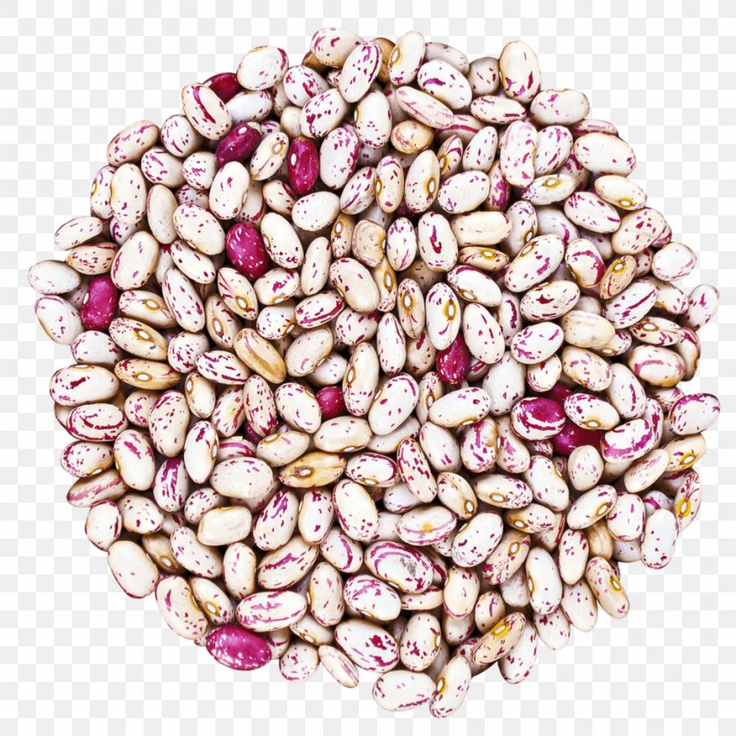 Cranberry Bean Vegetarian Cuisine Food Ingredient, PNG, 960x960px, Cranberry Bean, Bean, Commodity, Common Bean, Cooking Download Free