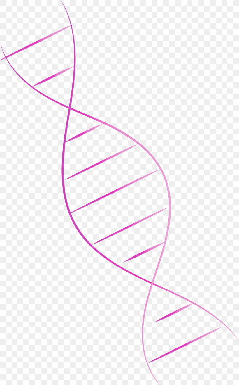 Leaf Angle Line Pattern Pink M, PNG, 1867x3000px, Watercolor, Angle, Biology, Leaf, Line Download Free