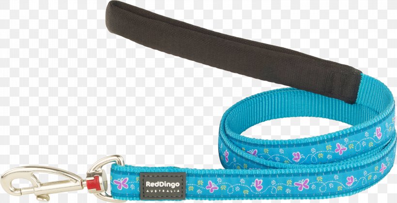 Leash Dog Dingo Puppy Turquoise, PNG, 3000x1540px, Leash, Animal, Belt, Blue, Collar Download Free