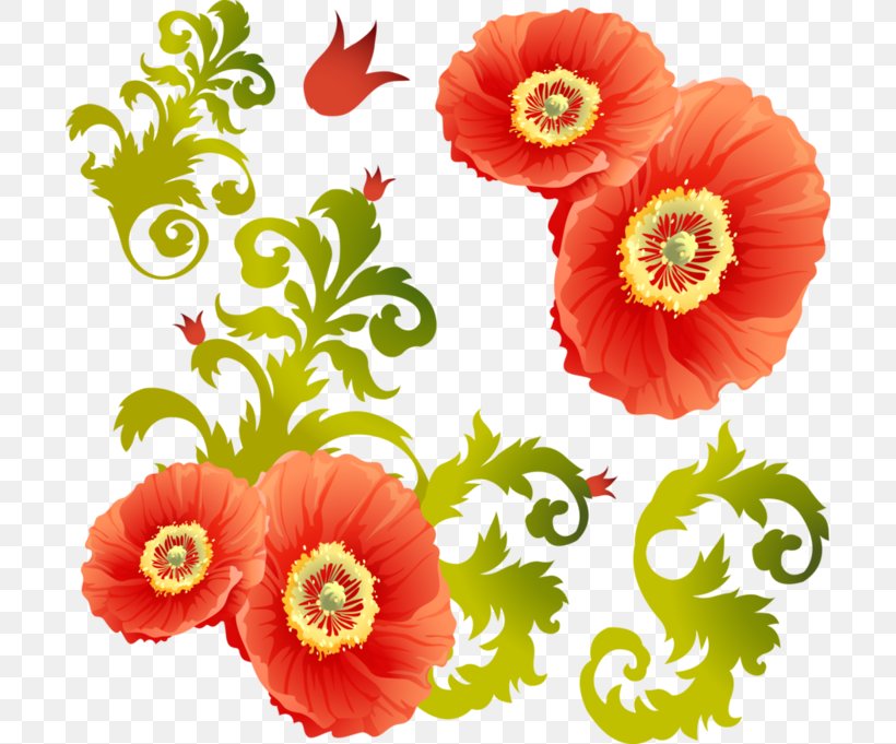 Common Poppy Cut Flowers Clip Art, PNG, 700x681px, Poppy, Annual Plant, Blue Rose, Common Poppy, Cut Flowers Download Free