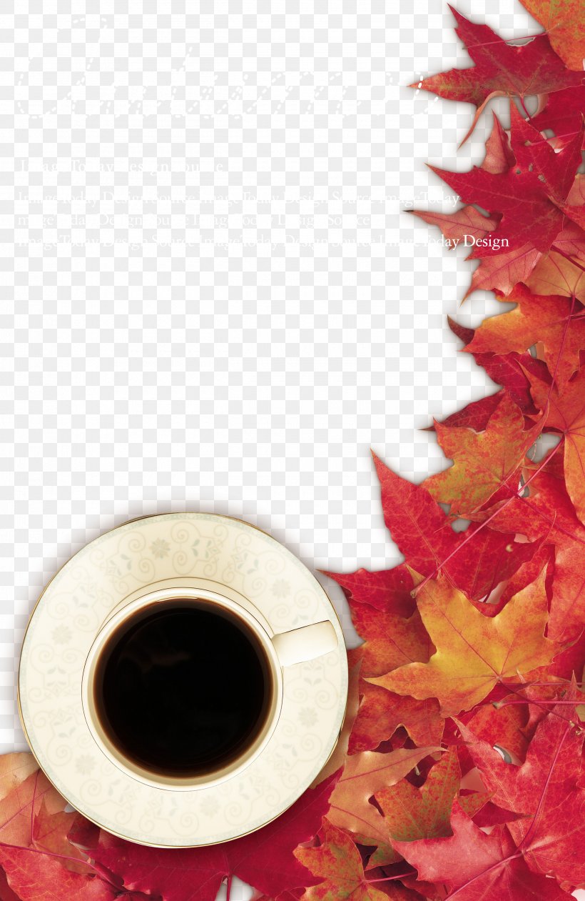 Autumn Colors, PNG, 2600x4000px, Autumn, Autumn Leaf Color, Coffee Cup, Color, Cup Download Free