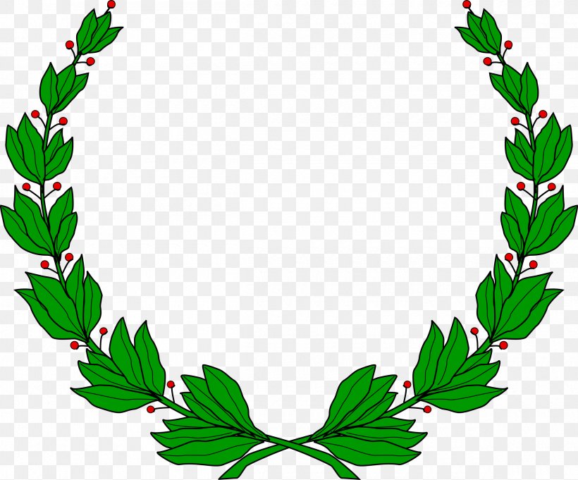 Bay Laurel Stock Photography, PNG, 2400x1996px, Bay Laurel, Artwork, Branch, Coat Of Arms, Drawing Download Free
